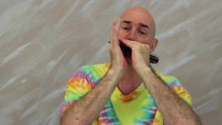  Chromatic Harmonica Tutorial & Review Videos