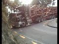 carting logs carting logs