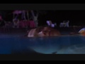  - MovieZen Video