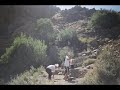 fermane-dersimi-aynur-dogan-dersim.html