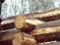 Ladubygge Ladubygge