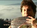 Wolfgang Niegelhell - Der einsame Hirte