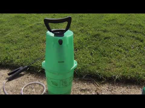 how to eliminate clover from a lawn
