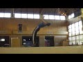 pegasus-on pegasus-on