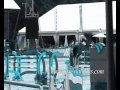 Horses* Horses*