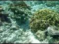 Maldives Le R?ve