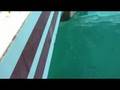 Permit Fly fishing with Eworth Garbutt Placencia Belize