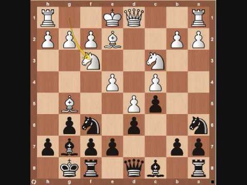 chess chess