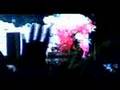 MOBY @ ELECTRIC DAISY CARNIVAL EDC 2008 HANDS IN THE AIR