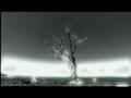 Search Video