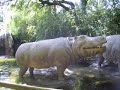 In The Jungle (Parque de Atracciones) In The Jungle (Parque de Atracciones)