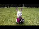 Rayman Raving Rabbids 2 Rayman Raving Rabbids 2