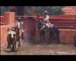charros 2