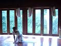 YOGA dojo YOGA dojo