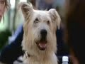 the third music video i created on behalf of my friends vicki, sheila & crystal who are hardcore greys anatomy fans.  the song is called 