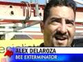 'Un-Bee-Lievable': 60,000 Bees Infest Home