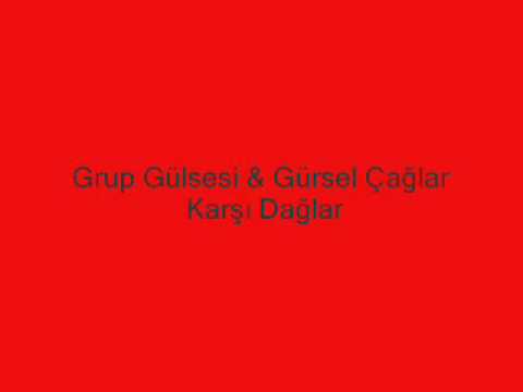 ali gürsel