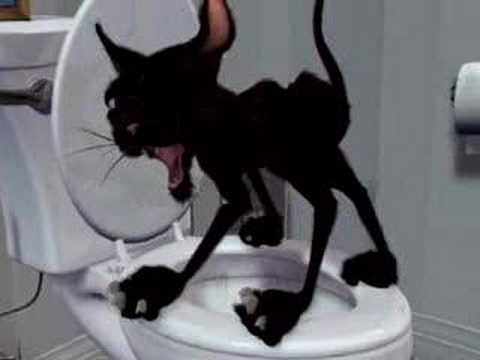 0 So How Do You Remodel A Bathroom?