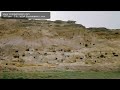 MTube   2.8   VGA Pocketable Linux .  .mov