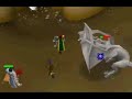 Runescape Dragon Slaying - With A Noob!!