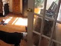 always the cat and jade the pit bull   funny not violent
