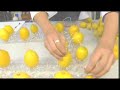los experimentos de tres14