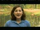 Kimberly Z. Shorter - Our Water Our Future WSB TV Atlanta Kimberly Z. Shorter - Our Water Our Future WSB TV Atlanta