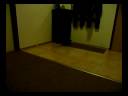 Cat and mouse.wmv Cat and mouse.wmv