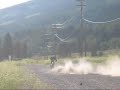 SUZUKI RM250 TWO STROKE SHOOT TO THRILL SUZUKI RM250 TWO STROKE SHOOT TO THRILL