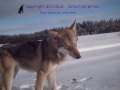 Décembre.wmv Décembre.wmv