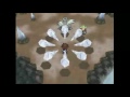 Pokemon Black 2 - Black Kyurem Legendary Encounter