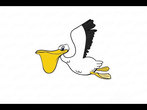 video-linktoworks-How to Draw Pelican For Kids | Pelican Easy Tutorial...