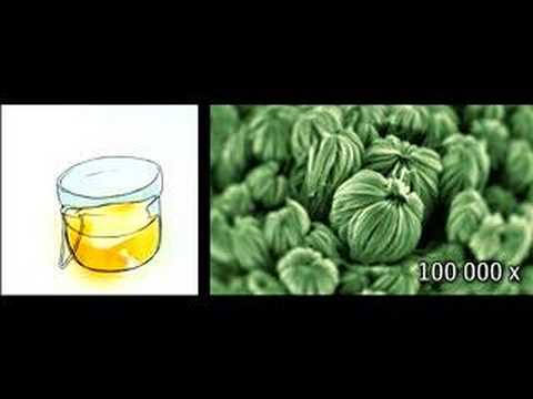 Image de prévisualisation YouTube