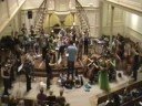 Ricciotti Ensemble / Carina Vinke - Im Treibhaus