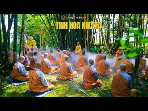 Tinh Hoa NIKAYA - Trân Quý Hiện Hữu - Giới Hạnh - Thiền Định & Trí Tuệ