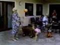 35 Pelotas en la cara