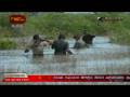 videos de Northern War Front 1 st of December 2008
