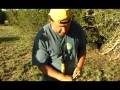 Making a bowdrill set with Cody Lundin