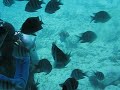 St Martin FWI Undersea Explorer St Martin FWI Undersea Explorer