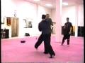 Real Kung Fu Green Cloud Choy Lei Faht Sifu Gus Sparring