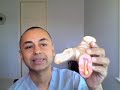 Asthma meds. For Dr Yatin Patel's patients only