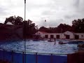 Lisboa Show of the Dolphins/Zoo Lisbon - Show Golfinho/Zoo
