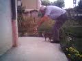mecozzi show mecozzi show