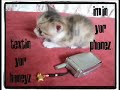 Thumbnail #1