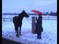 Finnigan im Winter