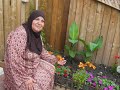 الى,امي,وامهات