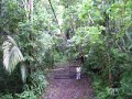 Belize zip-line