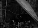 Kvlt Ov Lameness - Frostbitten Necro Tree Kvlt Ov Lameness - Frostbitten Necro Tree