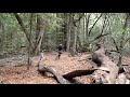 demo1105 - Ride with Brgy NorCal, Sikads, Yabangz at Soquel Demo