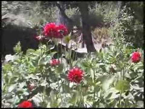 Pacific Coast Flowers and Aquarium ...